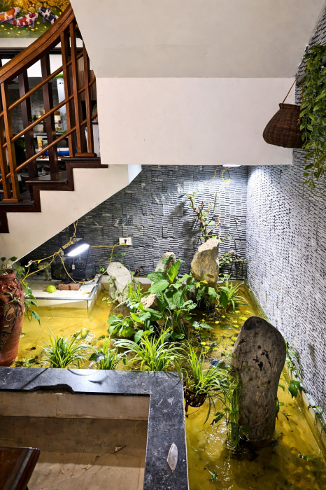 Chính chủ bán nhà liền kề Khu đô thị mới Phú Lương - 62,5m2 - 5 tầng - Mặt tiền 5m - Kinh doanh tốt 