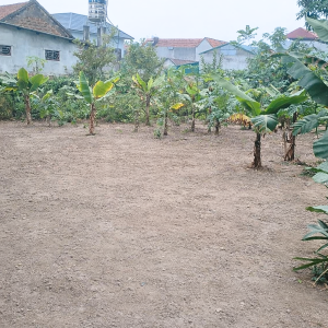 Chính chủ cần bán mảnh đất siêu đẹp 322m2 full thổ cư ở Đoài Giáp - Đường Lâm